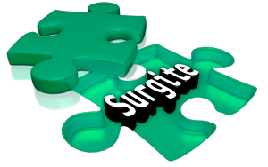 Dieses Bild zeigt das Logo des Unternehmens Surgite!Coaching